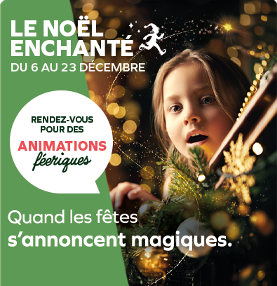 Vivez un Noël Enchanté à Mériadeck !
